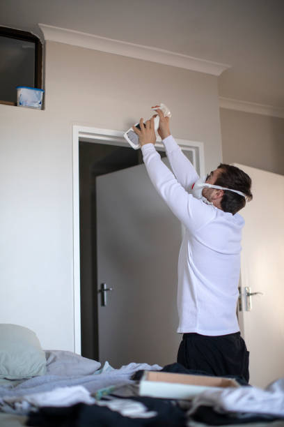 Best Water Damage & Mold Remediation  in Bradford Woods, PA