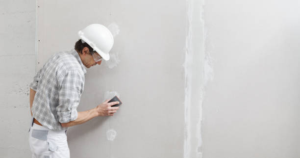 Best Mold Damage Restoration  in Bradford Woods, PA